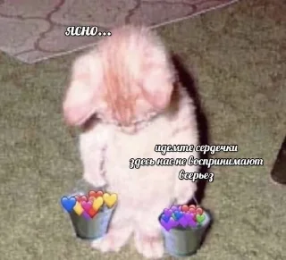 😢 emoji Жизненные котики Telegram sticker 16 of 95