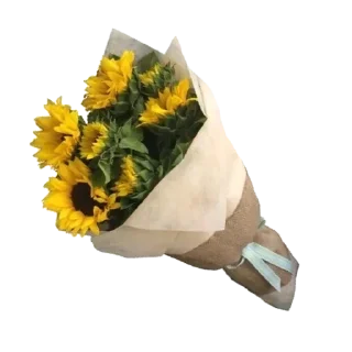 💐 emoji my aesthetic 🥺 Telegram sticker 14 of 46