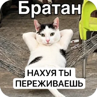 😀 emoji @pplgn #1 stickers Telegram sticker 8 of 73