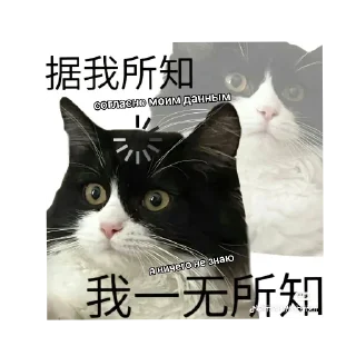 Sticker from Китайские стикеры