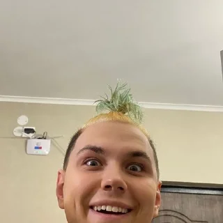 🌟 emoji милс и вэлл Telegram sticker 21 of 34