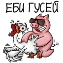 🖕 emoji Арбитражный Свин KMA.biz Telegram sticker 8 of 21