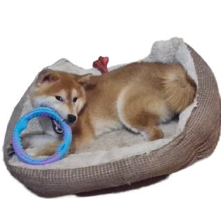 😏 emoji ТаоБао Telegram sticker 22 of 29