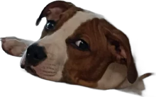 😕 emoji Козявка Telegram sticker 17 of 29