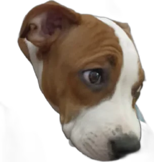 😒 emoji Козявка Telegram sticker 23 of 29