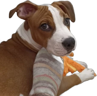 🫤 emoji Козявка Telegram sticker 19 of 29