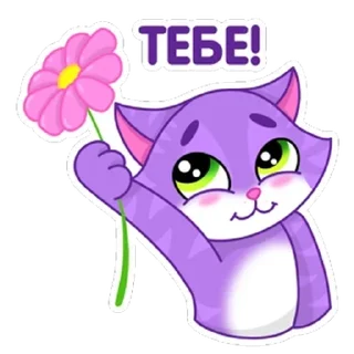 Sticker from Котик от СберМегаМаркет