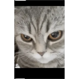 😡 emoji Триган Telegram sticker 21 of 23