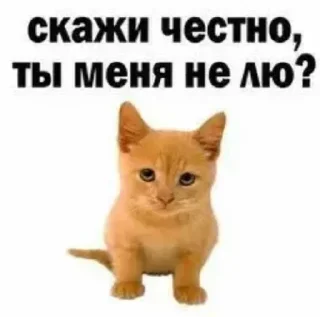 💖 emoji Милые стики от Арины Telegram sticker 10 of 58
