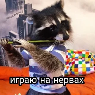 🌟 emoji Енотиха Telegram sticker 23 of 42