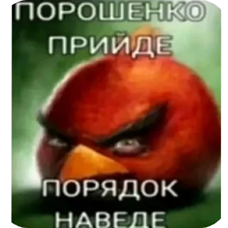 🖼 emoji Срака Telegram sticker 11 of 32