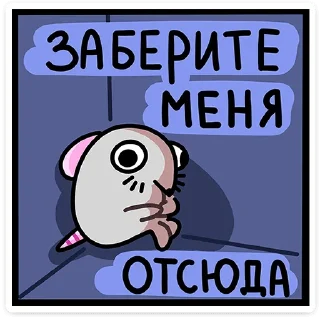 Sticker from Школьный Крысюк • @TgSticker