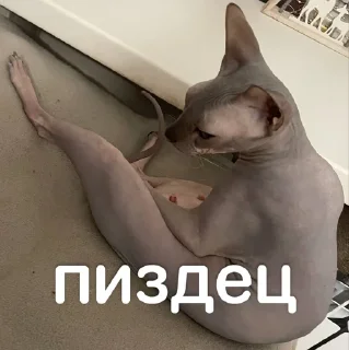 🌟 emoji Глооорст Telegram sticker 6 of 21