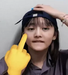 🖕 emoji Minniecore @shrekoff1 Telegram sticker 5 of 34