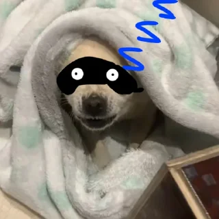 😴 emoji Леля Telegram sticker 7 of 66