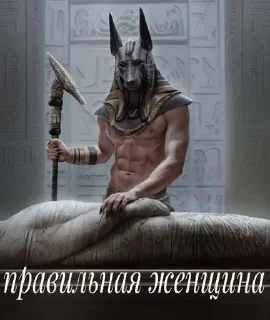🌟 emoji Анубес Telegram sticker 8 of 106