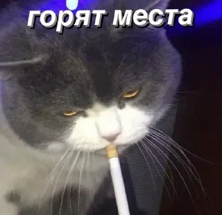 🥺 emoji @saintwb СТИКЕРЫ ДЛЯ АДМИНОВ Telegram sticker 6 of 39