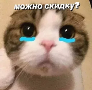 😨 emoji @saintwb СТИКЕРЫ ДЛЯ АДМИНОВ Telegram sticker 18 of 39