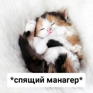🥺 emoji макжиза Telegram sticker 12 of 21