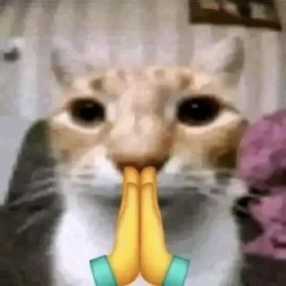 🙏 emoji мемсы Telegram sticker 21 of 22
