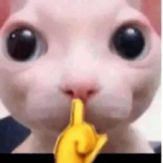 🤫 emoji мемсы Telegram sticker 10 of 22