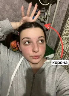 👑 emoji Гівно Жучки Telegram sticker 23 of 63