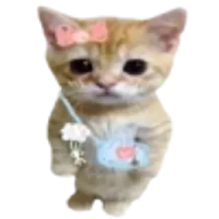😘 emoji Котики Telegram sticker 6 of 85