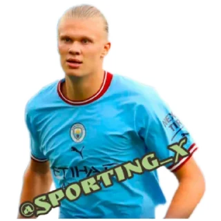 ⚽ emoji Sporting 2 Telegram sticker 6 of 14