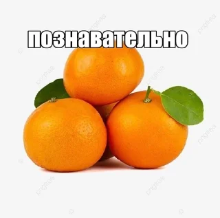 🌟 emoji мандарины Telegram sticker 5 of 49