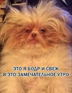🌟 emoji Смешнявки Telegram sticker 21 of 30