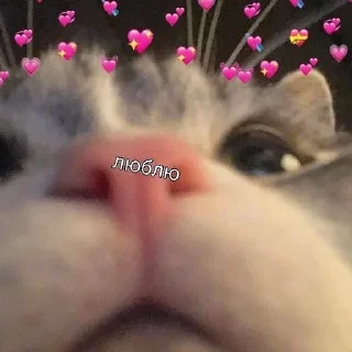 😘 emoji Смешнявки Telegram sticker 7 of 30