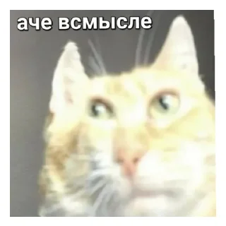 😄 emoji Мэмы Telegram sticker 23 of 24