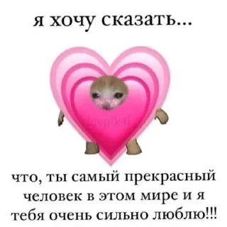 💗 emoji Kitticetics Telegram sticker 12 of 89