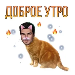 ☀ emoji Kitticetics Telegram sticker 17 of 89