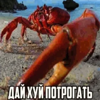 🥸 emoji Передоз кринжа Telegram sticker 10 of 65