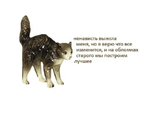 🐈‍⬛ emoji фарфорыши Telegram sticker 5 of 53