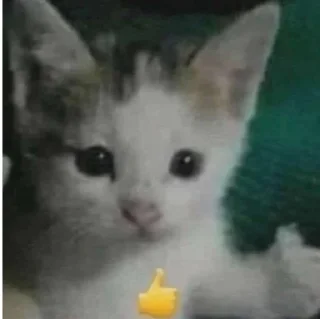 👍 emoji бббб Telegram sticker 6 of 40