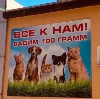 🧂 emoji бббб Telegram sticker 24 of 40