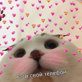 🙄 emoji ДЕДИНСАЙД) Telegram sticker 7 of 11