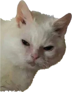😑 emoji приятный набор Telegram sticker 14 of 84