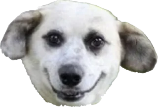 😊 emoji приятный набор Telegram sticker 19 of 84