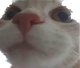 👃 emoji приятный набор Telegram sticker 24 of 84