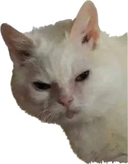 😑 emoji приятный набор Telegram sticker 13 of 84