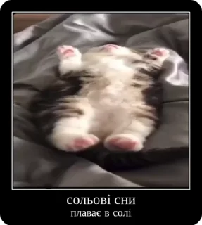 Sticker from Сольовик і неформали @solovyy