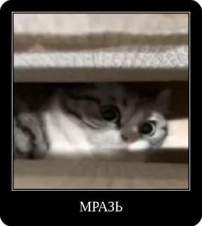 👺 emoji Сольовик і неформали @solovyy Telegram sticker 18 of 50