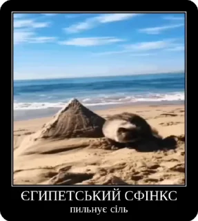 🇪🇬 emoji Сольовик і неформали @solovyy Telegram sticker 5 of 50