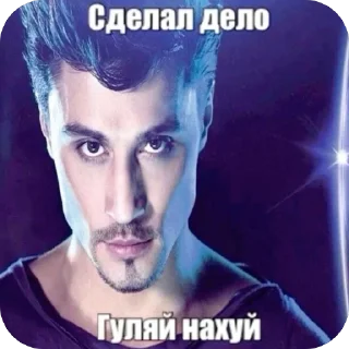 🌟 emoji похуисты Telegram sticker 12 of 78