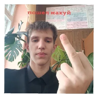 🖕 emoji буйный володька Telegram sticker 8 of 16