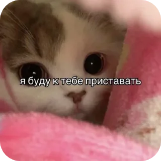 🐱 emoji ... Telegram sticker 6 of 8