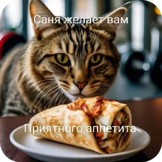 🐱 emoji Санечка UWU Telegram sticker 24 of 27